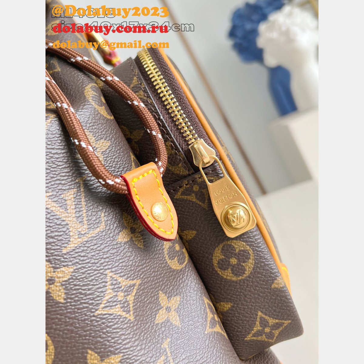 Montsouris Cargo Backpack Louis Vuitton M14015 Luxury G69 Brown
