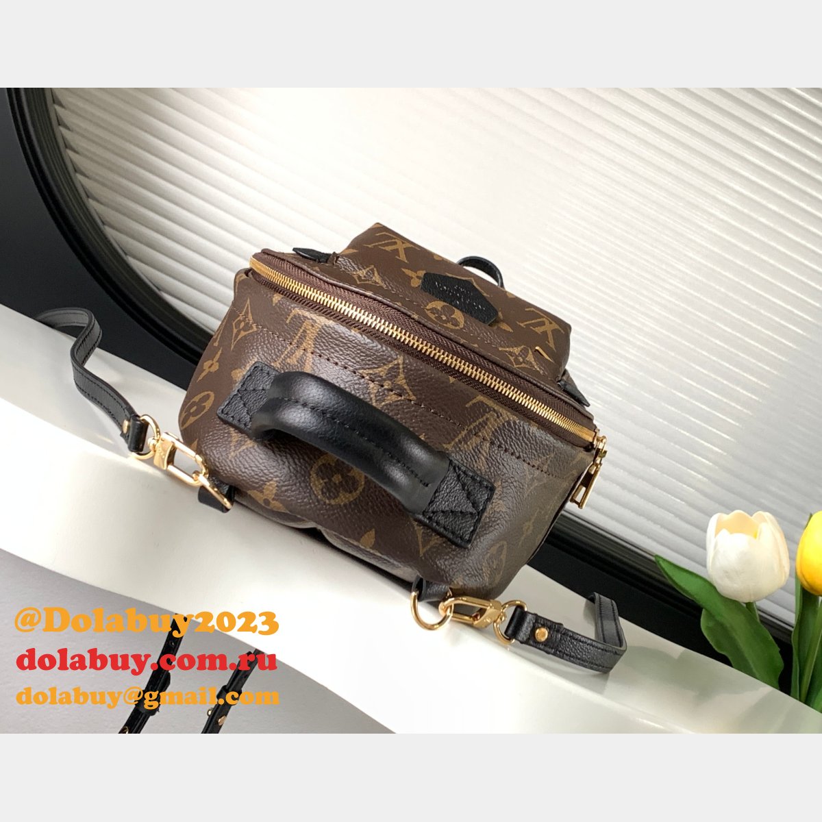 Top Quality Classical Palm Springs Louis Vuitton backpack